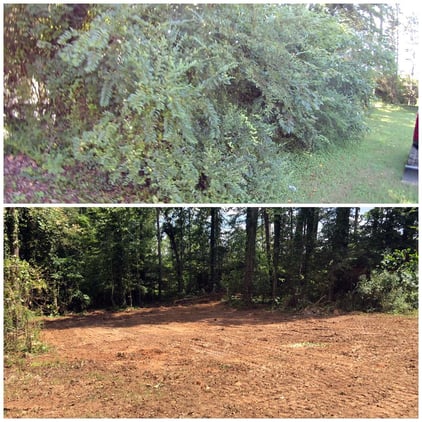 Cleared Space for Garage Building